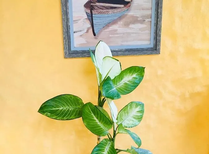 Hotel Casa Esmeralda
